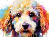 Fun Jigsaw Puzzle 1000 Pieces for Adults Colorful Poodle Cute Dog Wood Puzzles Art Painting by Number Kits for Beginners Gems for Wall Decor 29.5 x 20 in