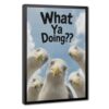 Funny Bathroom Poster Cute Coastal Animal Wall Art Quirky Room Decor