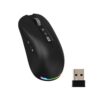 GAMINJA Ai Mouse with Voice Typing & ChatGPT Assistant,RGB Smart Mouse 200 Language Voice to Text Recorder Ergonomic Silent Wireless BT Mouse for Computer,Laptop, 6000 Responsive Upgrade (Black)