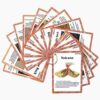 Geography Flash Card Set(15 Pcs)| Science Learning Cards Perfect for Back to School Supplies, Elementary Teacher/Autism Therapists Geology Tools | Geology Earthquake Gifts for Beginners