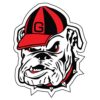 Georgia Bulldogs Magnet