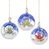 Glasseam Hanging Glass Plant Terrarium: 3Pcs Hanging Airplant Fern Holders