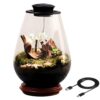 Glass Plant Terrarium with UFO LED Grow Light, Mini Desk Ecosystem with Moss, 5 V 2 A Black Light, for Office and Home Decor, Includes Drip Bottle and Type-C Cable