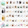 GlikCeil 50 Pcs Insect in Resin Specimen Various Bugs Collection Paperweights Bug Kit Preserved in Resin with 3 Magnifier Marine Animal Specimens for Kids Scientific Educational Display Collection