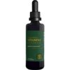 Global Healing Vitamin C