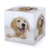 Golden Retriever Puppies Puzzle Cube 3x3 Speed Cube with Smooth Corner Rotating ABS Logic Cube Portable for Office Puzzles Stress Relief Leisure Game for Daily Use
