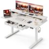 Grandder Electric Standing Desk with Four Drawers, Sit to Stand Up Height Adjustable Desk with Storage Shelf for Home Office, 47 * 28 Inch, Study, Ergonomic Adjustable Computer Desk, White