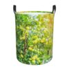 Green Jujube Fruit Grows On The Jujube Tree Waterproof Oxford Round Laundry Basket Household Storage Bin Medium