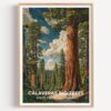 GroovyGrove Travel Poster Vintage USA Landscape Wall Art Print for Nature Lovers, Hiker Gift & Home Decor (Unframed) (Calaveras Big Trees State Park, California)