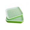 Grow Bean Sprouts & Wheatgrass with This PP Hydroponic Germination Tray, Grid Design for Indoor Kitchen Gardens (1 Pack)