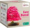 Grow Your Own Bonsai Tree from Seed - Grow Buddha Easy Bonsai Starter Kit – Complete Indoor Gardening Kit with Pot, Soil & Tools, Unique Gift for Men, Women & Plant Lovers