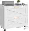 Halitaa Lateral File Cabinet with 2 Drawers, Large Printer Stand for Legal/A4/Letter Hanging Files, White