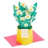 Hallmark Paper Wonder Mother's Day Pop Up Card for Mom (Daisy Bouquet)