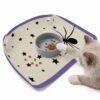 Halloween Bug Feeding Mat, Stars Purple Border Linen Texture Waterproof Foldable Pet Cat Dog Food Mat Placemats for Cats Dogs Water Bowl 17.7x11.8in