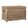 happimess Elijah 31" Wicker Storage Trunk Footlocker Chest, Natural