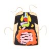 harayaa 3D Organ Apron Internal Organ Apron Science Early Childhood Human Body Organs