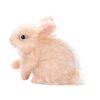 harayaa Realistic Rabbit Doll Sensory Toy Miniature Gift Lovely Simulation Silicone Toy
