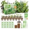 Herb Garden Starter Kit – Fruivity 12800+ 15 in 1 Herb Heirloom Seed Kits for Indoor/Outdoor Planting | Herb Indoor Garden Kit Starter - Complete Herb Garden Starter Set with Gift Packaging for Family
