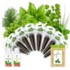Herb Seed Pod Kit with Basil Mint Cilantro Mixed, Grow Anything Seed Starter Pod Kit for Hydroponics Growing System with Plant Food, Seeds Included Basil, Dill, Oregano, Chive (8-Pod-n)