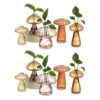Hewory Glass Mushroom Propagation Stations: Set of 10 Unique Propagation Jars Glass Planter for Indoor Plants Home Decor - Brown Mushroom Vase Christmas Birthday Gifts for Plant Lovers Women Girls