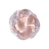 Highlighter Powder Palette, Glitters Eyeshadow Palette, Highlight Eye Makeup for Cheek Inner Corner Eye Pearls Face Highlighter Makeup