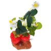 Hohopeti Artificial Terrarium Fake Plant for Reptile and Fish Habitat Decor with Vivid Color and Resin Material, for Room Space and Home Decor Accessories