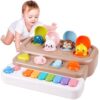 HOPANDOS Interactive Pop Up Animal Toy with Piano Keys, Music & Lights, Montessori Cause and Effect Toys for 3+ Year Old, STEM Fine Motor Skills Baby Toy for Infants 6-12 Months, Toddler Birthday Gift