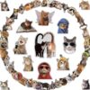 HopPixelle 100Pcs Cat Stickers | Cute Funny Meme Bulk | Waterproof PVC Vinyl Stickers for Water Bottles, Laptop, Skateboard, Phone, Notebook, Luggage, Scrapbook | Cat Lover Gifts for Kids Teens Adults