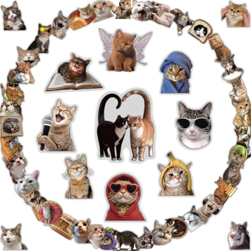 HopPixelle 100Pcs Cat Stickers | Cute Funny Meme Bulk | Waterproof PVC Vinyl Stickers for Water Bottles, Laptop, Skateboard, Phone, Notebook, Luggage, Scrapbook | Cat Lover Gifts for Kids Teens Adults