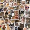 HopPixelle 100 Pcs Cat Stickers, Funny Cat Meme for Water Bottles Laptop Scrapbook, Cute Vinyl Kitten Sticker Pack for Kids Adults Teens, Journaling Vision Board Supplies