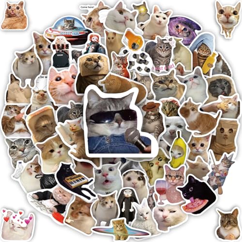 HopPixelle 100 Pcs Cat Stickers, Funny Cat Meme Stickers, Cute Kitten Decals for Laptop Water Bottles Phone Guitar Luggage, Waterproof Vinyl Decals for Adults Kids Teens Boys Girls