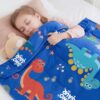 HOSUKKO Weighted Blanket - 2 lbs Blue Dinosaur Heavy Blanket- Small Size Breathable Weighted Throw Blanket(19 * 21 inches, 2 lbs)