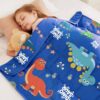 HOSUKKO Weighted Blanket - 3 lbs Blue Dinosaur Heavy Blanket, 20"x30", Small Size Breathable Lap Blanket