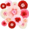 Hotop 36 Pcs Valentine's Day Tissue Paper Flowers - Large Pink Red Tissue Pom Poms in 8, 10, 12 Inch for Wedding, Party Decoration, Baby Shower, Birthday & Nursery Wall Backdrop Decor (DIY Craft)