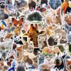 HOXBUR 200Pcs Zoo Animal Stickers, Waterproof Self Adhesive Stickers Vinyl Wild Animal Water Bottle Sticker Set for Kids Women Wen