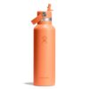 Hydro Flask – Standard Flex Straw Cap 621 ml (21 oz) Bottle – Stainless Steel, Leakproof, Cupholder Compatible – Insulated Cold 24 Hrs – Nectar