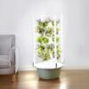 Hydroponic Growth and Germination kit, Indoor Vertical Tower System kit