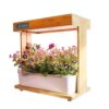 Hydroponics Growing System, Indoor Garden with LED Light, Auto Timer, Herb Kit, Hydroponic Planter, Gardening Gifts for Women