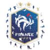 Iconic Puzzles - France, Logo, Officially Licensed Wooden Puzzle, 100% Sustainable, Gift for Adults and Children, Size L, 500 Pcs