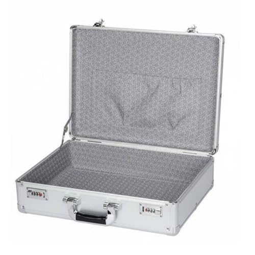 IEUDNS Aluminum Storage Case Portable Lock Box Organizer With Double Combination Locks Reinforced Aluminum Lining Mesh Pocket suitable for home use office organization travel, Silver, L P-lock