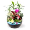 IEUDNS Miniature Terrarium Live Potted Resin Mini Landscape Suitable for Home Student Rooms Desktop 10cm