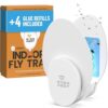 Indoor Fly Trap (2 Pack) with 4 Sticky Glue Cards – Electric Plug-in Insect Catcher for Fruit Flies, Gnats, Moths & Mosquitoes – Safe Indoor Pest Control for Home, Kitchen, Bedroom