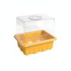Indoor Windowsill Seed Starter Kit, High-Dome Germination Tray, Clear PET Propagation Box with Humidity Control (1 Set)