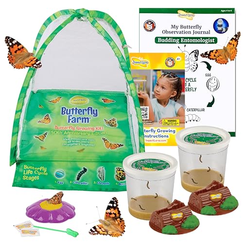 Insect Lore Live Butterfly Garden Growing Kit - 10 Live Baby Painted Lady Caterpillars - Dome Observation Habitat - Grow, Raise and Release Painted Lady Butterflies from The USA