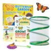 Insect Lore Raise and Release Butterfly Garden Kit – Caterpillar Habitat with redeemable Voucher – STEM-accredited Butterfly Growing Kit for Kids, Classrooms, and Homeschool Learning (Pack of 12)