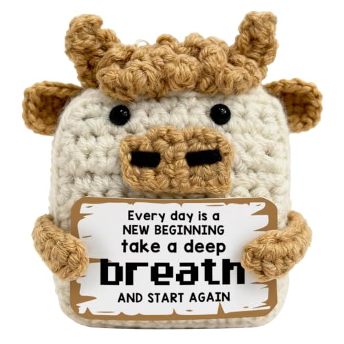 Inspirational Gifts for Friends Women Teens Coworkers, Handmade Crochet Highland Cow Emotional Support Pocket Gifts for Birthday Graduation New Job, Encouragement Desk Decor, Take A Deep Breath Start
