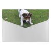 Jack Russell Dog Accordion File Folder, Letter Size Expanding File with 6 Pockets, Portable Document Organizer with Labels, Paper Receipt Holder for Home, Work and Office