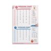 Japanese Alphabet Poster Hiragana And Katakana Chart (2)