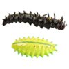 Jehoshaphat 2Pcs Soft Rubber Caterpillar and slug Larva Simulation Model, Realistic Insect Novelty Toy, Used for Relaxing Halloween and Other Holidays.