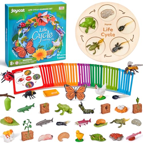 JoyCat Life Cycle Learning Education Toys, Insect Caterpillar to Butterfly kit, Ladybug, Bee, Tadpole to Frog Kit Life Cycle Toys for Kids, Preschool Learning Activities for Kids (Animals and Plant)